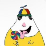 HAMSTER